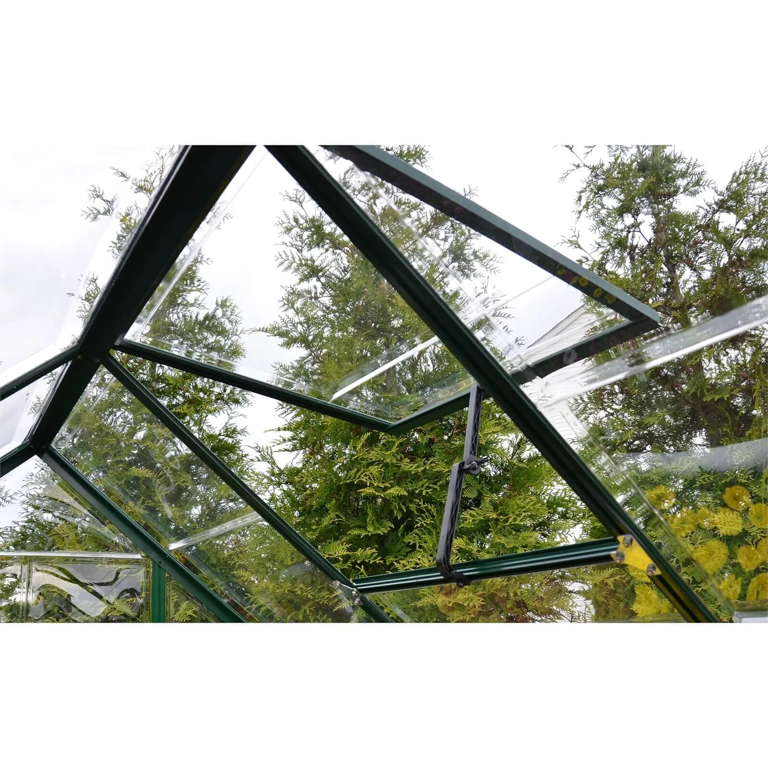 Palram 6 X 6ft Canopia Harmony Greenhouse - Green 7 Palram 6 X 6ft Canopia Harmony Greenhouse - Green - Image 5
