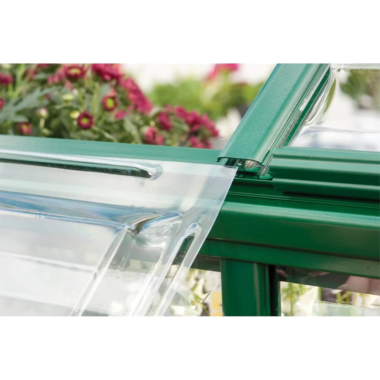 Palram 6 X 6ft Canopia Harmony Greenhouse - Green 8 Palram 6 X 6ft Canopia Harmony Greenhouse - Green - Image 6