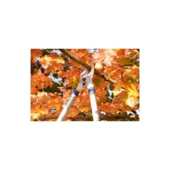 Spear & Jackson Razorsharp Tele Bypass Lopper -Gardening Series Store 12810811 1464833196929633