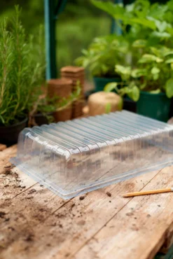 Propagator Lid -Gardening Series Store 12813214 5604955307968229