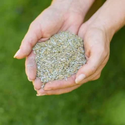 Westland Safe Lawn Natural Lawn Feed - 150m² -Gardening Series Store 12814336 1595061828066483