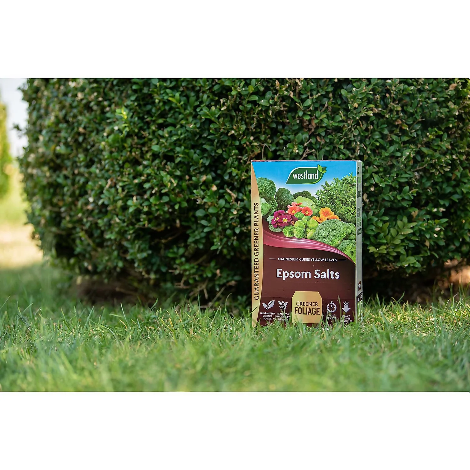 Westland Epsom Salts - 1.5kg 4 Westland Epsom Salts - 1.5kg - Image 2