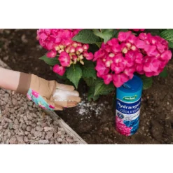 Westland Hydrangea Colourant - 500g -Gardening Series Store 12816266 1294971590389137