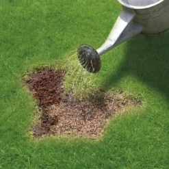 Miracle-Gro Patch Magic Grass Seed, Feed & Coir - 48 Patch Bag 7 Miracle-Gro Patch Magic Grass Seed, Feed & Coir - 48 Patch Bag -Gardening Series Store 12841642 1784927305573390