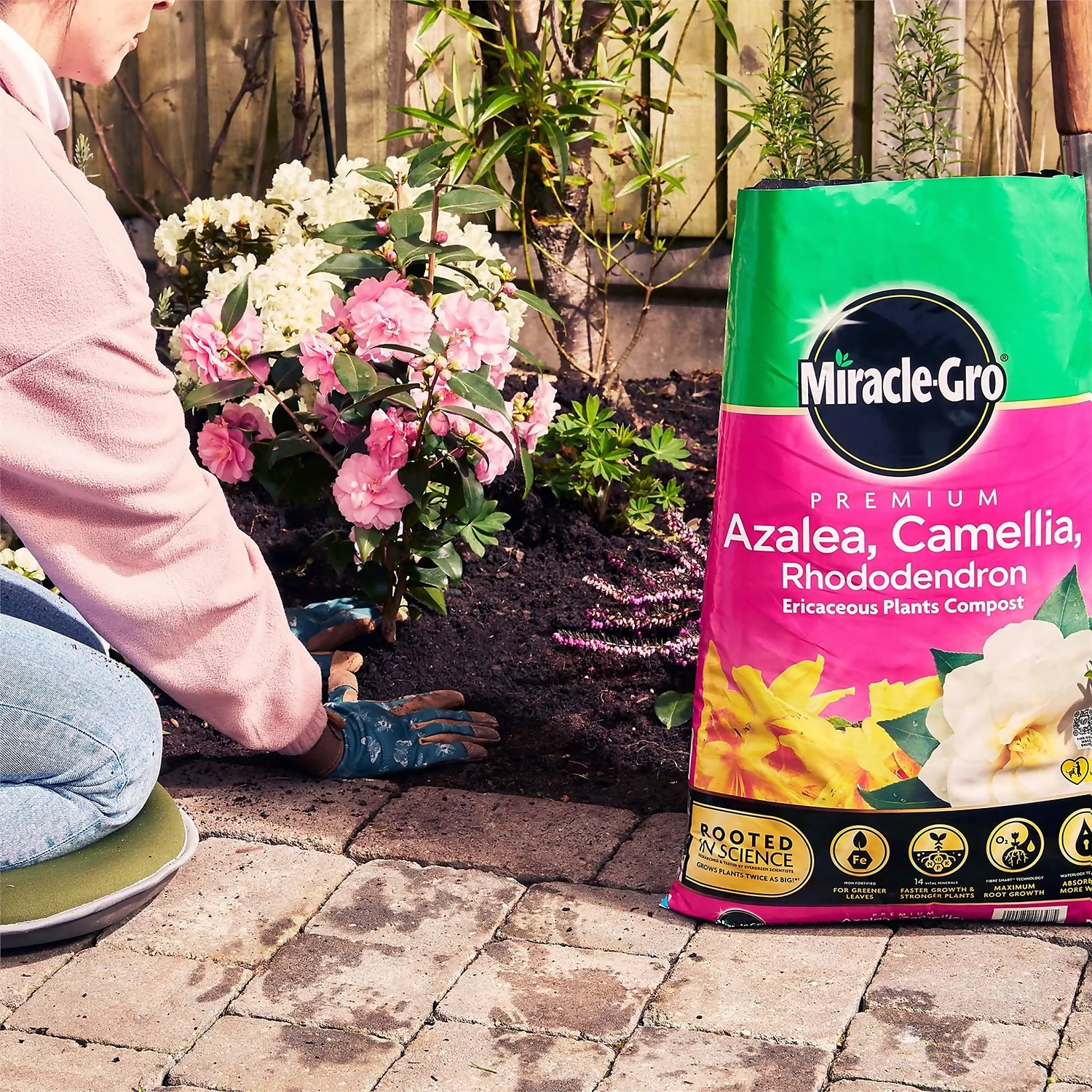 Miracle Gro Premium Azalea, Camellia & Rhododendron Ericaceous Compost - 40L 8 Miracle Gro Premium Azalea, Camellia & Rhododendron Ericaceous Compost - 40L - Image 6