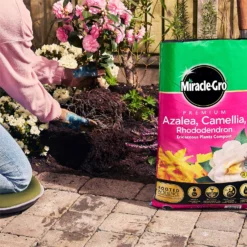 Miracle Gro Premium Azalea, Camellia & Rhododendron Ericaceous Compost - 40L 12 Miracle Gro Premium Azalea, Camellia & Rhododendron Ericaceous Compost - 40L -Gardening Series Store 12882812 1924843671918789