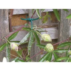 59m Flexi Tube Thin - 2.5mm -Gardening Series Store 12884882 1394843444419015