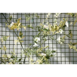 General Purpose Garden Mesh -Gardening Series Store 12885593 2134856729627259