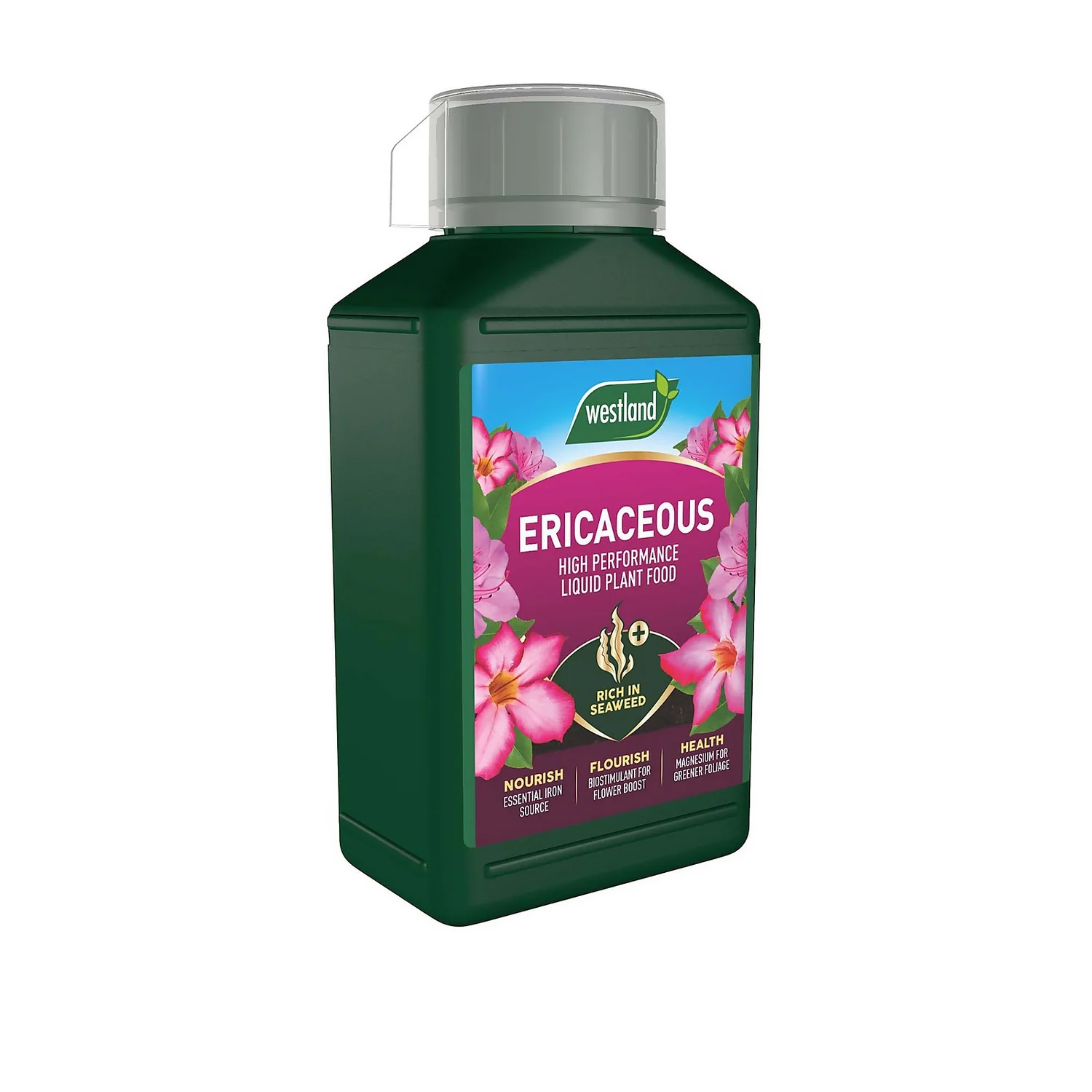 Westland Ericaceous Specialist Feed - 1l 3 Westland Ericaceous Specialist Feed - 1l