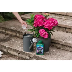 Westland Hydrangea Feed - 1l -Gardening Series Store 12886486 1744971590629542