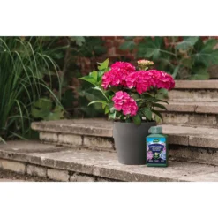 Westland Hydrangea Feed - 1l -Gardening Series Store 12886486 5014971590603901