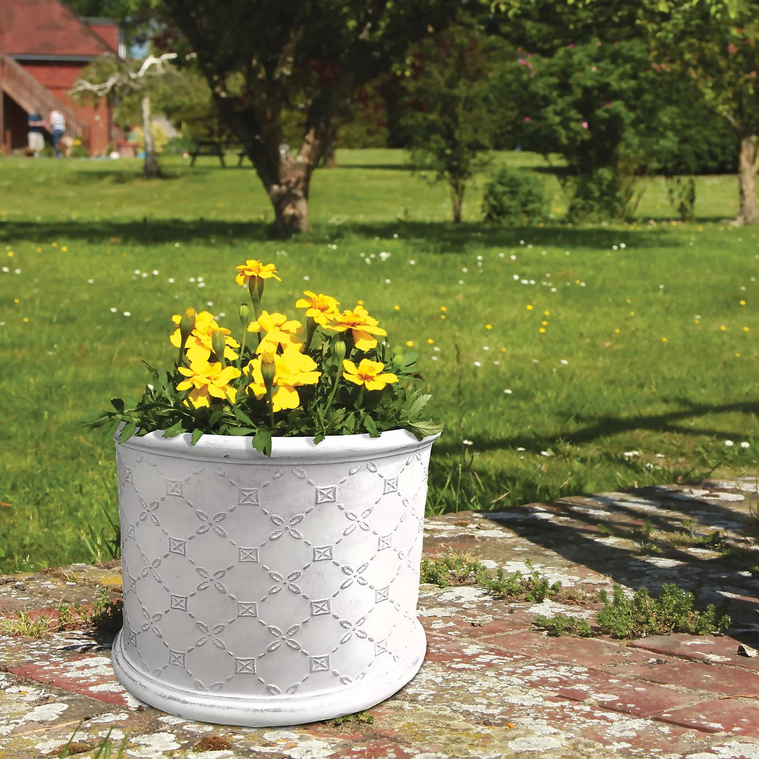 Mayfair Antique White Cylinder Plant Pot - 23cm 4 Mayfair Antique White Cylinder Plant Pot - 23cm - Image 2