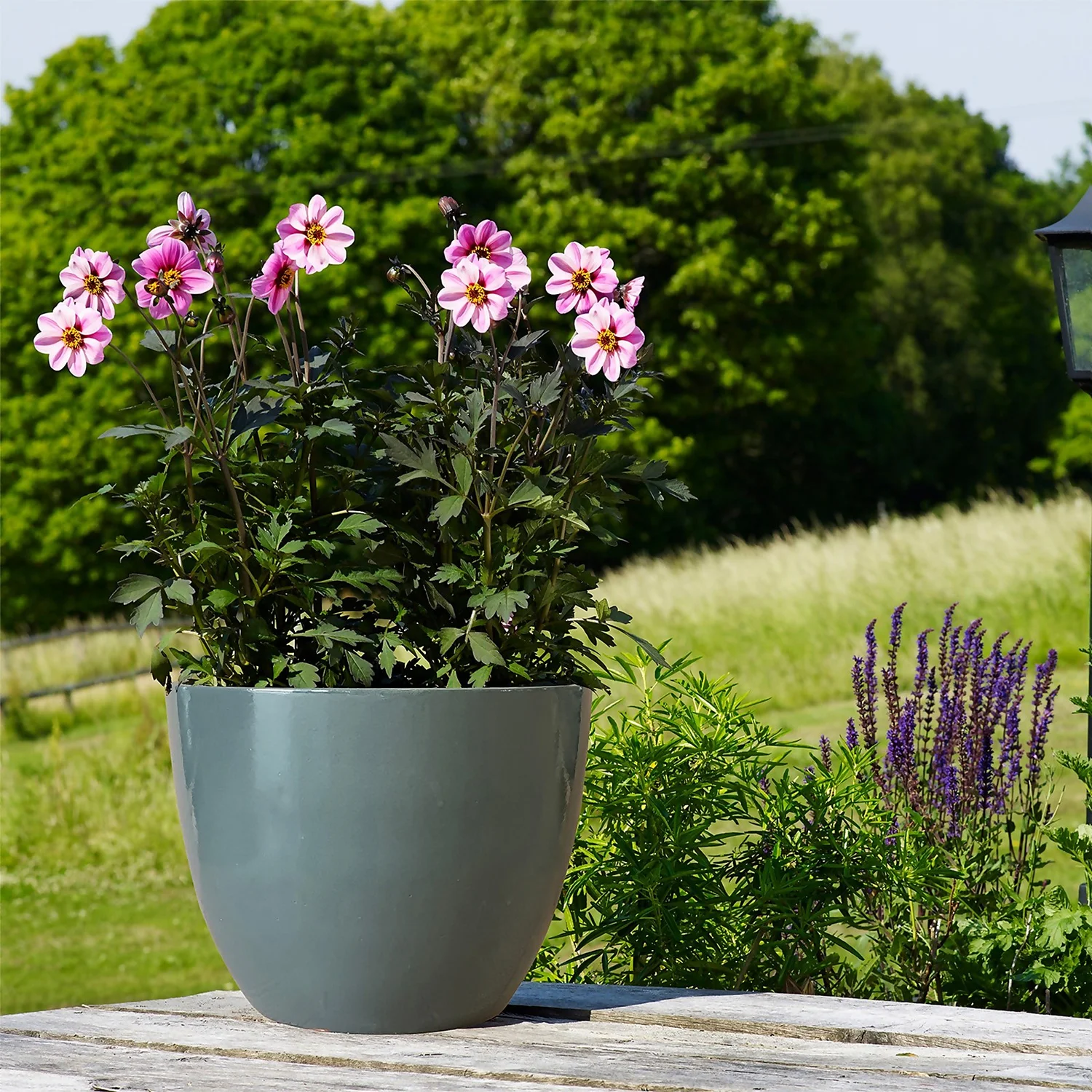 Chiswick Egg Pot Grey 27cm 4 Chiswick Egg Pot Grey 27cm - Image 2