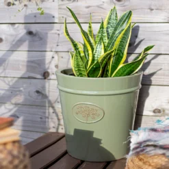 Country Living Heritage Sage Cone Pot - 41cm -Gardening Series Store 13188757 4084933183259961