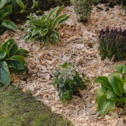 Westland Rustic Wood Chips - 60L 8 Westland Rustic Wood Chips - 60L -Gardening Series Store 13280769 1564929084866478