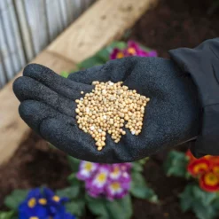 Miracle-Gro Premium All Purpose Continuous Release Plant Food 900G -Gardening Series Store 13308222 9885012580990969