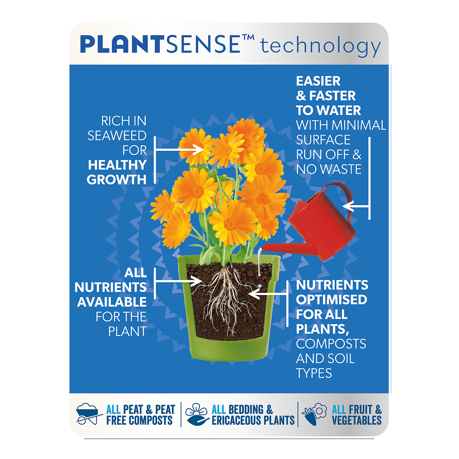 Westland Boost All Purpose Plant Food 1L 10 Westland Boost All Purpose Plant Food 1L - Image 8