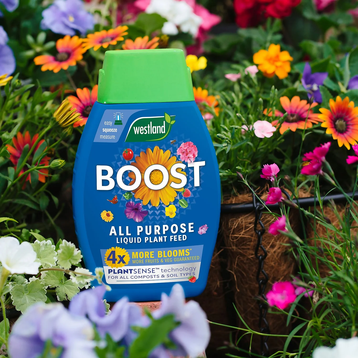 Westland Boost All Purpose Plant Food 1L 4 Westland Boost All Purpose Plant Food 1L - Image 2