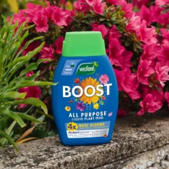 Westland Boost All Purpose Plant Food 1L 15 Westland Boost All Purpose Plant Food 1L -Gardening Series Store 13411841 8474971590810400