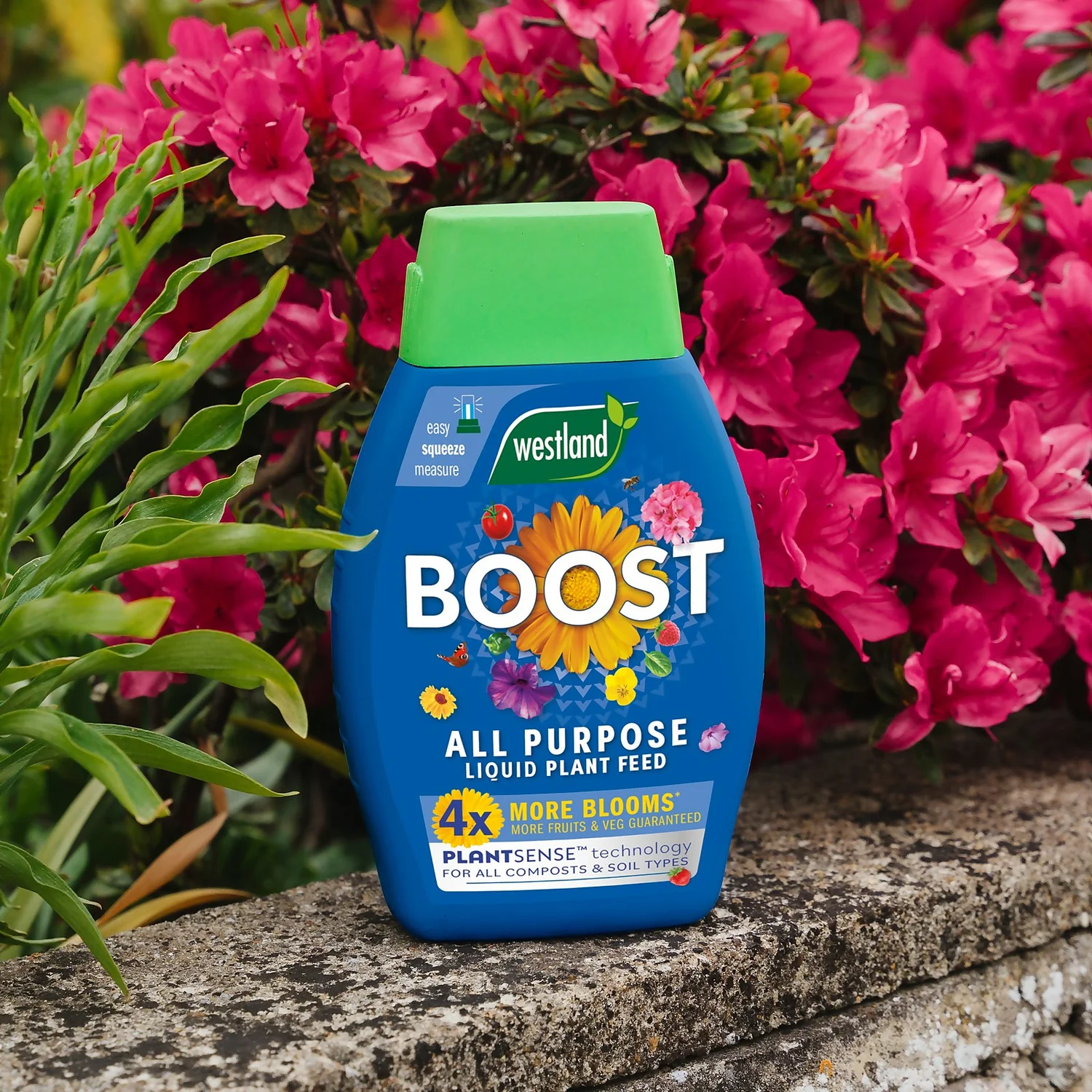 Westland Boost All Purpose Plant Food 1L 8 Westland Boost All Purpose Plant Food 1L - Image 6