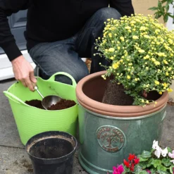 Coco & Coir Coco Grow+ Seed & Cutting Compost + 20% Perlite - 15L -Gardening Series Store 13487127 6914919980816800