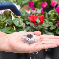 Coco & Coir Seed Germination Dots - 40mm -Gardening Series Store 13487129 7814919981385408