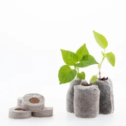 Coco & Coir Seed Germination Dots - 40mm -Gardening Series Store 13487129 9394919981342952