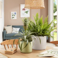 Scheurich Ripple White Indoor Pot - 17cm -Gardening Series Store 13953259 1184987120201059