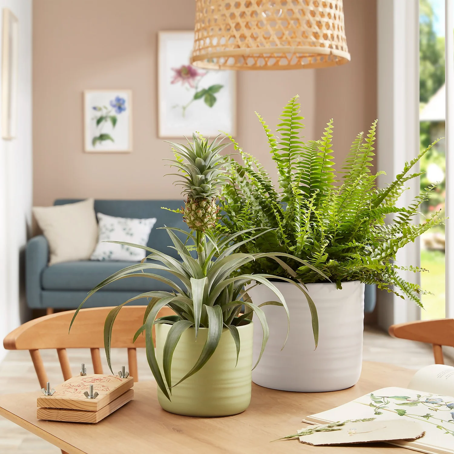 Scheurich Ripple Soft Green Indoor Pot - 23cm 4 Scheurich Ripple Soft Green Indoor Pot - 23cm - Image 2