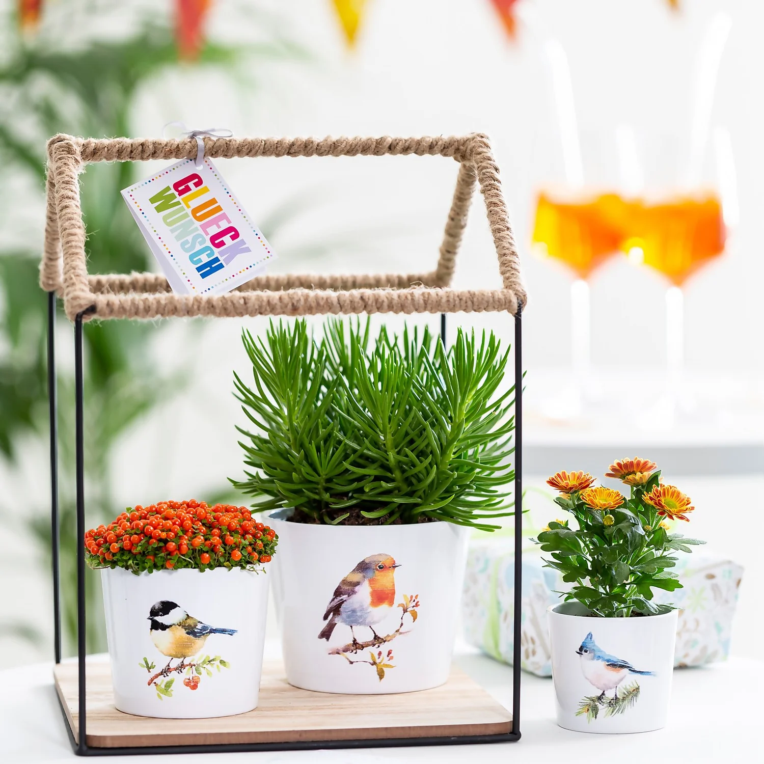 Scheurich Robin Indoor Pot - 13cm 4 Scheurich Robin Indoor Pot - 13cm - Image 2