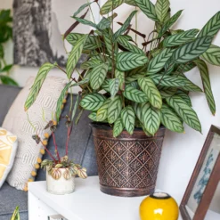 Vintage Allium Patterned Cone Pot - 37cm 12 Vintage Allium Patterned Cone Pot - 37cm -Gardening Series Store 13973621 6475011239983391