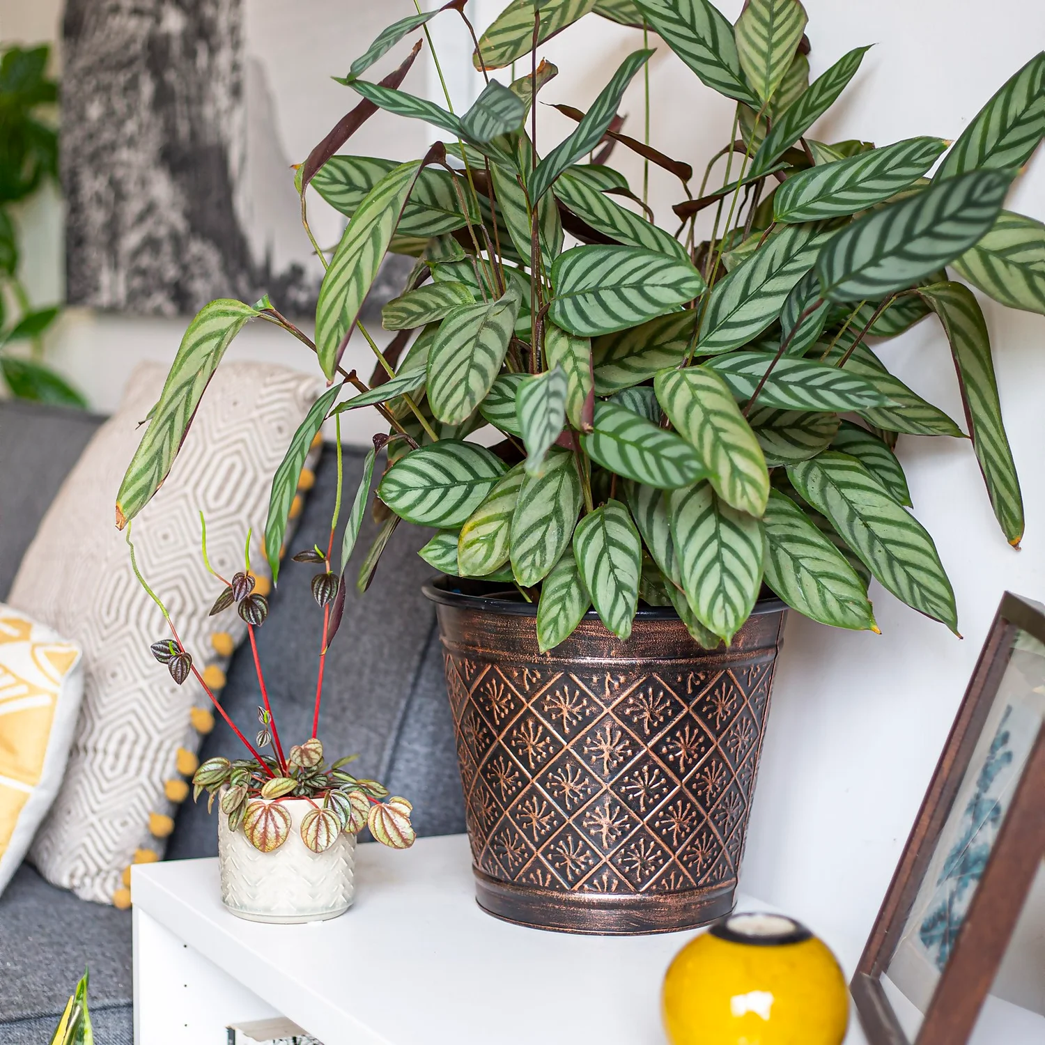 Vintage Allium Patterned Cone Pot - 37cm 7 Vintage Allium Patterned Cone Pot - 37cm - Image 5