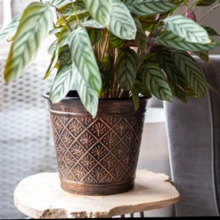 Vintage Allium Patterned Cone Pot - 37cm 11 Vintage Allium Patterned Cone Pot - 37cm -Gardening Series Store 13973621 8485011239919857