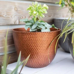 Suva Hammered Pot Copper - 31cm -Gardening Series Store 13973652 1715011805989134