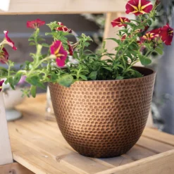 Suva Hammered Pot Bronze - 31cm 14 Suva Hammered Pot Bronze - 31cm -Gardening Series Store 13973654 6975011805770104