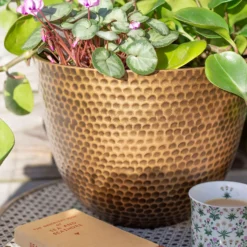 Suva Hammered Pot Bronze - 31cm 11 Suva Hammered Pot Bronze - 31cm -Gardening Series Store 13973654 7605011805627355