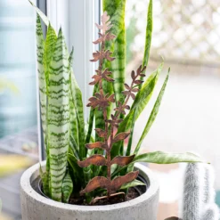 Floral Bronze Ground Stakes - 45cm (Assorted Designs) -Gardening Series Store 13981009 1695005324721013