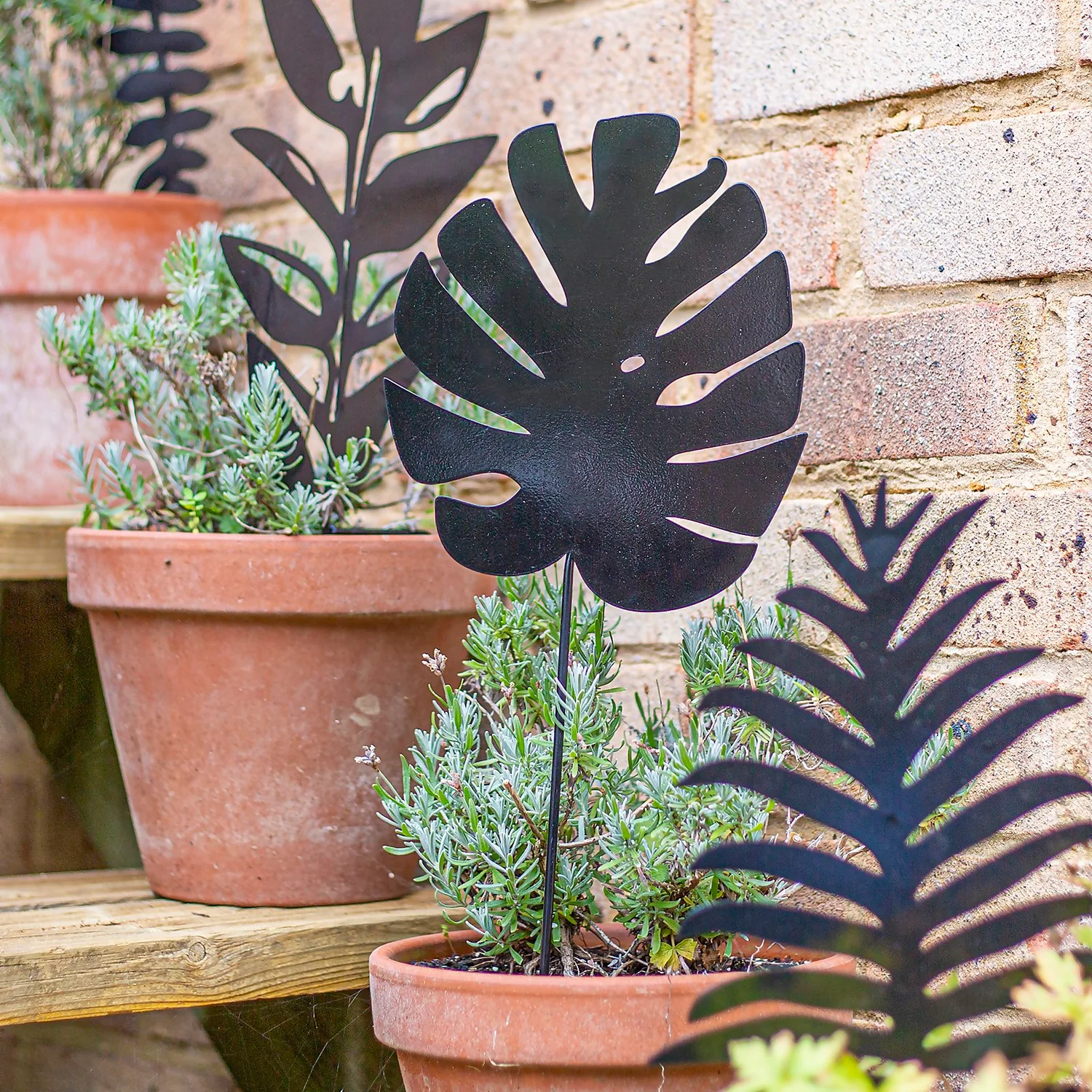 Jungle Black Ground Stakes - 45cm (Assorted Designs) 10 Jungle Black Ground Stakes - 45cm (Assorted Designs) - Image 8
