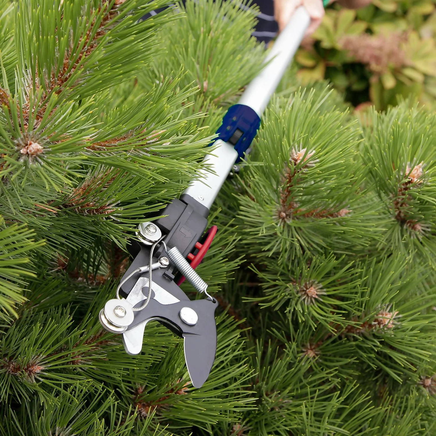Spear & Jackson Telescopic Pruner - 3.4m 6 Spear & Jackson Telescopic Pruner - 3.4m - Image 4