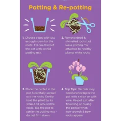 Westland Orchid Potting Mix Peat Free 8L -Gardening Series Store 14013784 4815003754410304