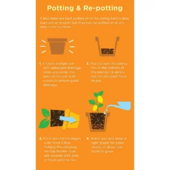 Westland Citrus Potting Mix Peat Free 8L -Gardening Series Store 14013785 1645003754507372