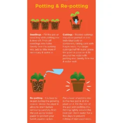 Westland Cacti & Succulent Potting Mix Peat Free 4L -Gardening Series Store 14013786 1245003754031248
