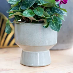 Chamfered Indoor Plant Pot - 13cm -Gardening Series Store 14197408 5435024191504467