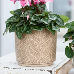 Crackle Leaf Indoor Plant Pot - 12cm 17 Crackle Leaf Indoor Plant Pot - 12cm -Gardening Series Store 14197410 2105024191396266