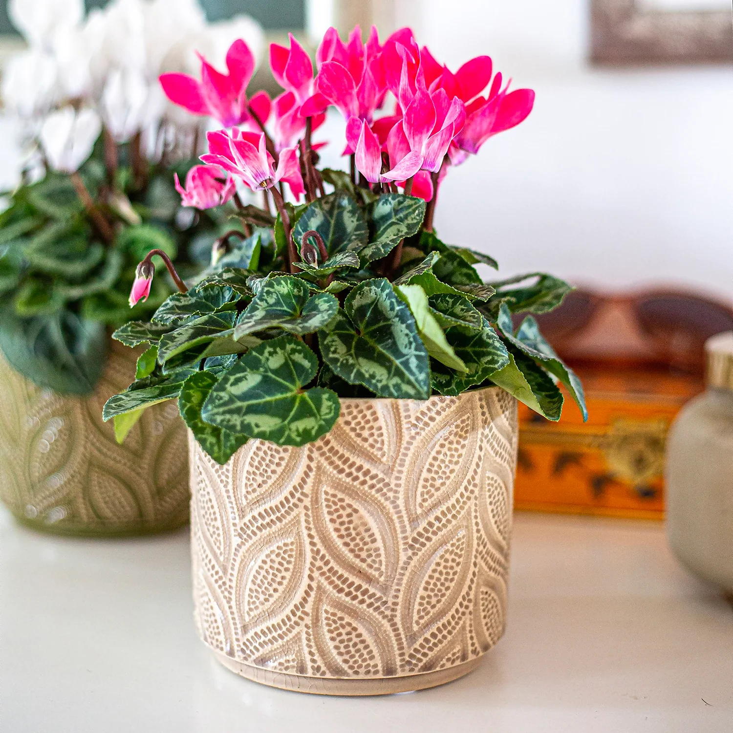 Crackle Leaf Indoor Plant Pot - 12cm 4 Crackle Leaf Indoor Plant Pot - 12cm - Image 2