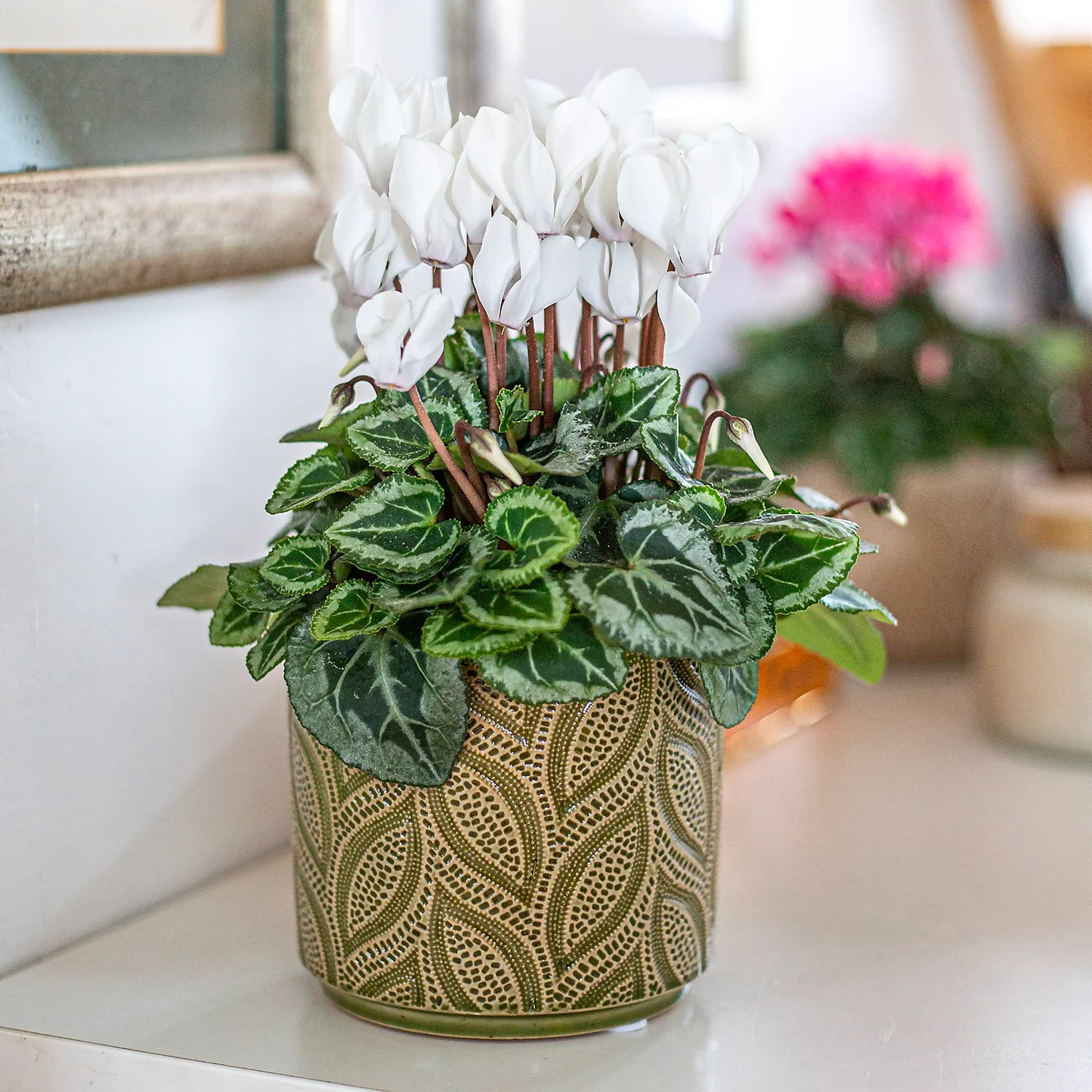 Crackle Leaf Indoor Plant Pot - 12cm 7 Crackle Leaf Indoor Plant Pot - 12cm - Image 5